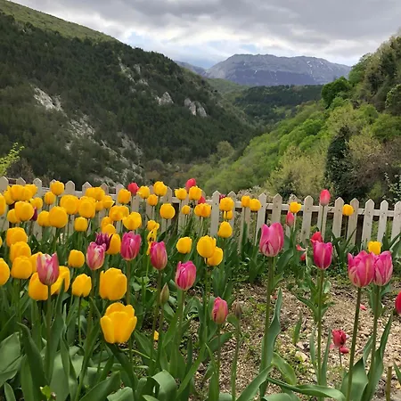 Monolocale Rustico Di Ariola