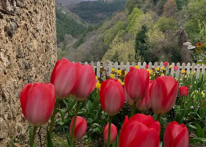 Monolocale Rustico Di Ariola Cansano