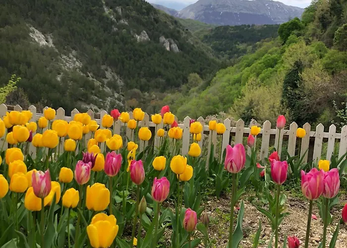 Monolocale Rustico Di Ariola