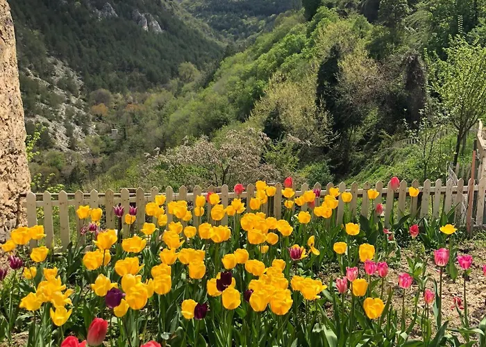 Tatil Evi Monolocale Rustico Di Ariola